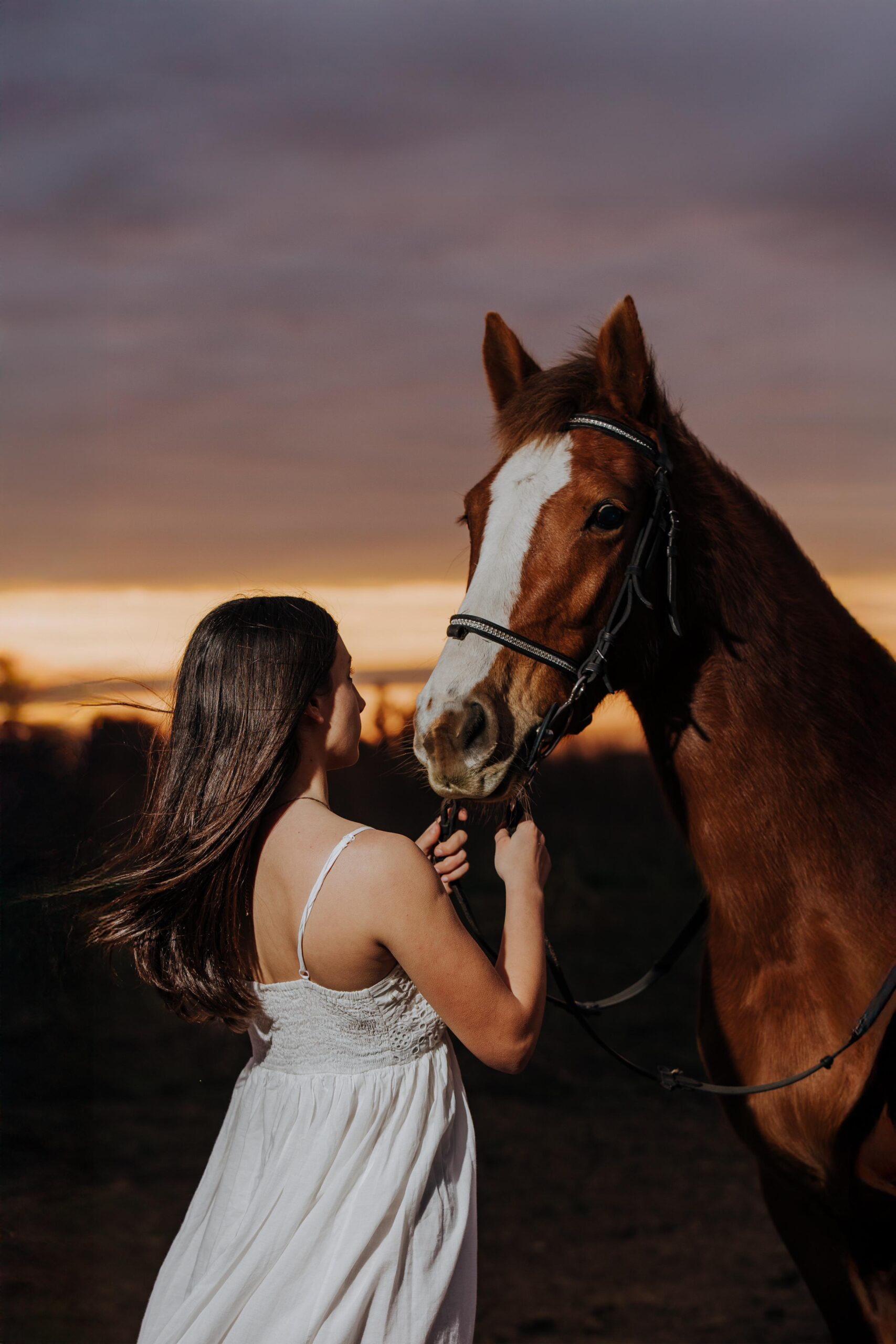 0b9b0403-d220-4a91-8ec3-30ccee0fad9c-5497a01cb825b838462599bc003a2db8 (1)